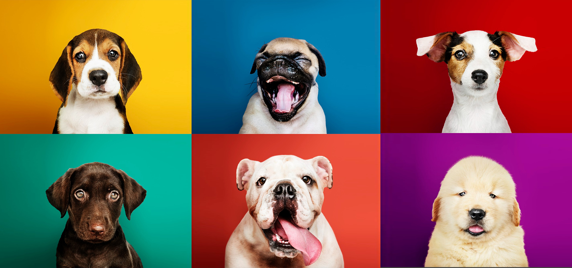 Care You Can Count On