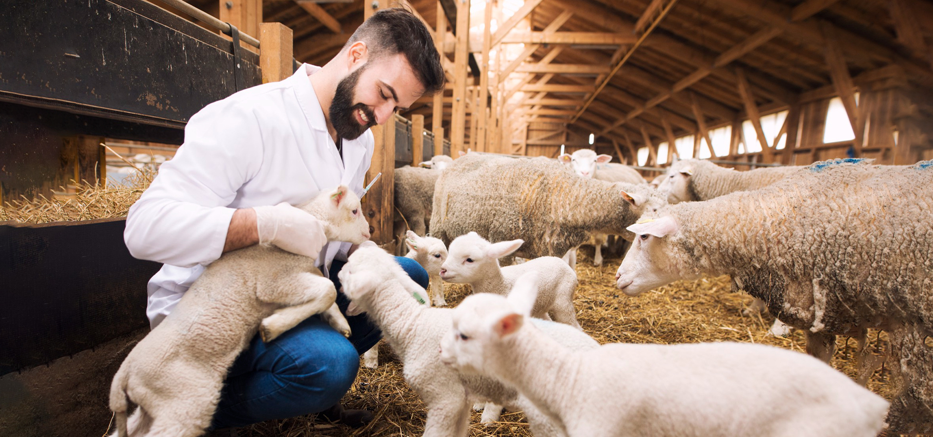 Health for Your Herd